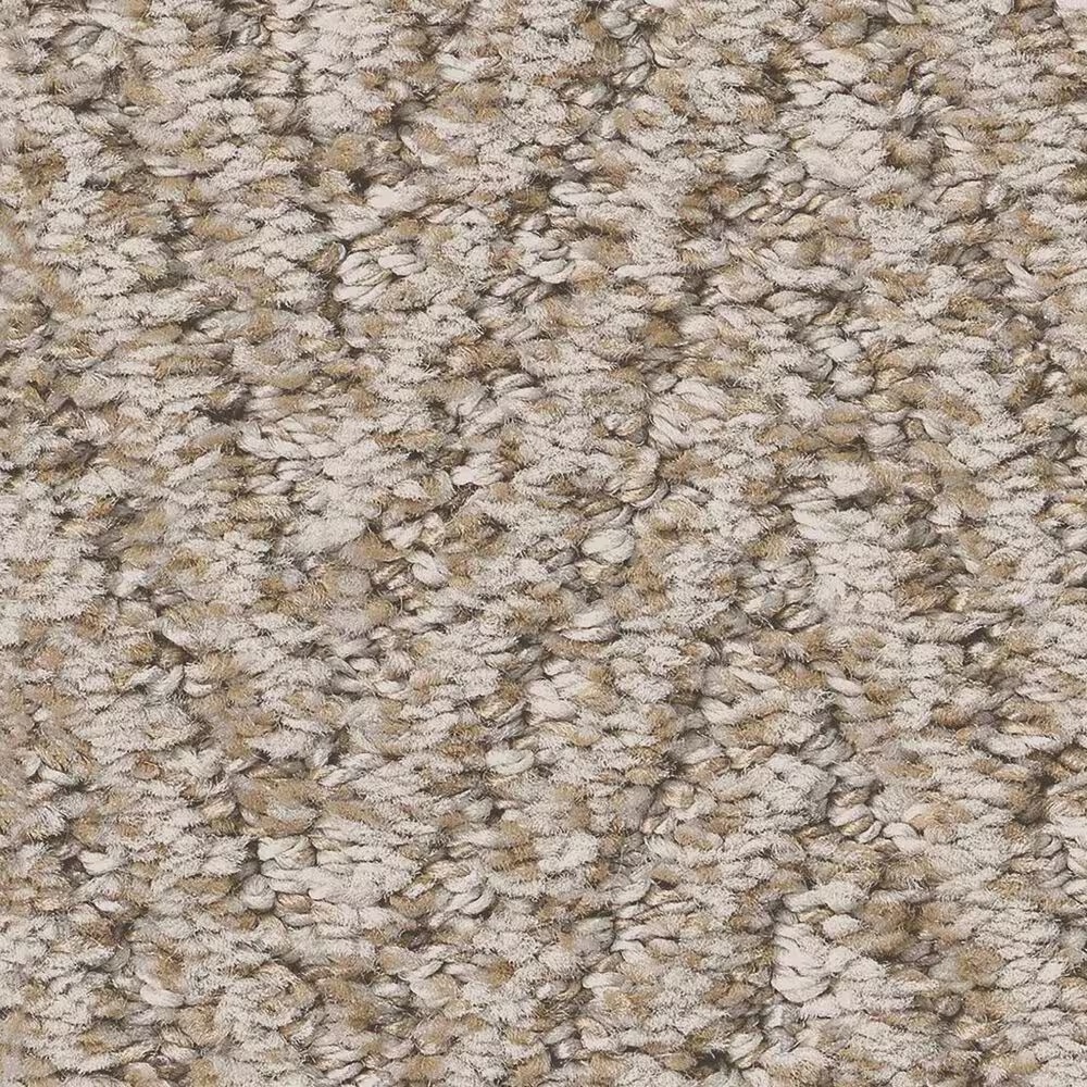 Anderson Tuftex Kit Carpet in Balanced