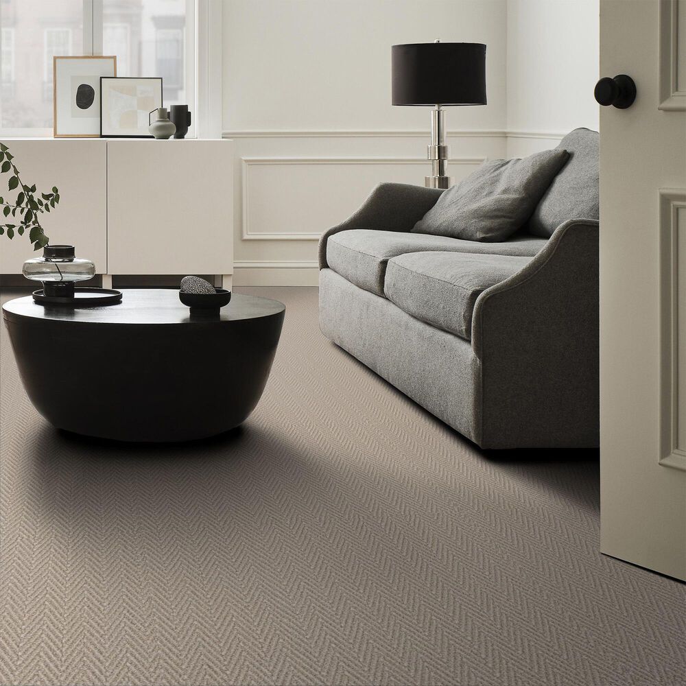 124652-anderson-tuftex-kit-carpet-in-balanced-1.jpg