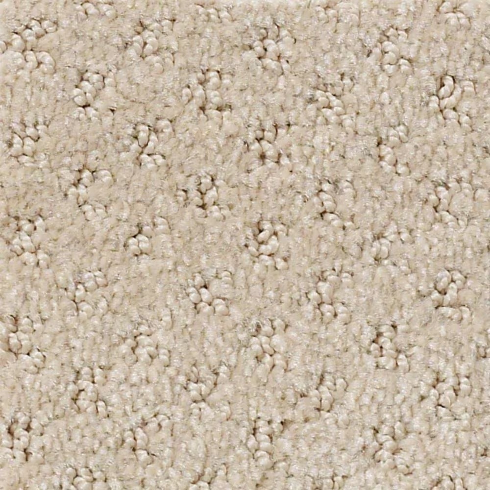 Shaw West Fork Carpet in Terrazo