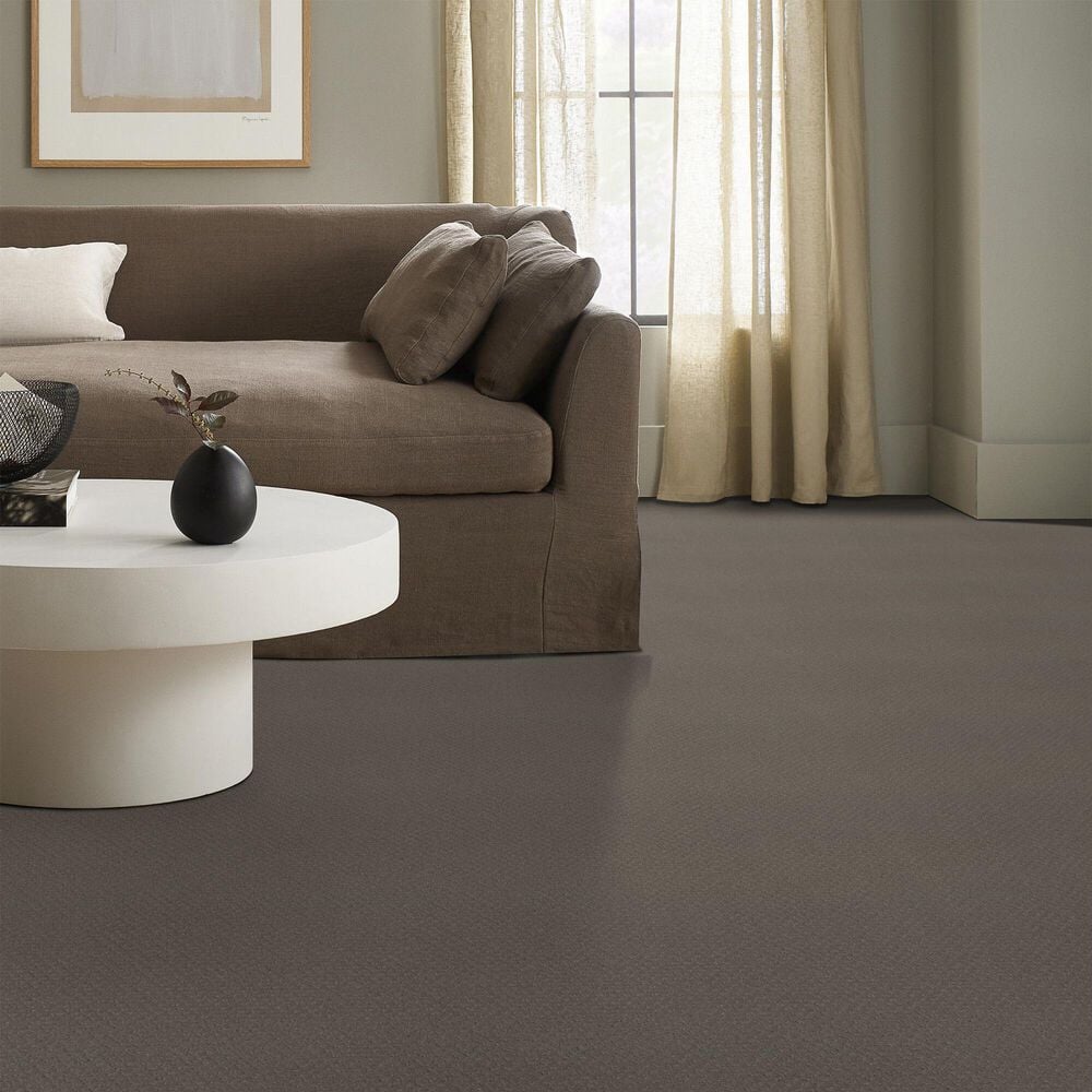 124821-anderson-tuftex-west-fork-carpet-in-still-gray-1.jpg