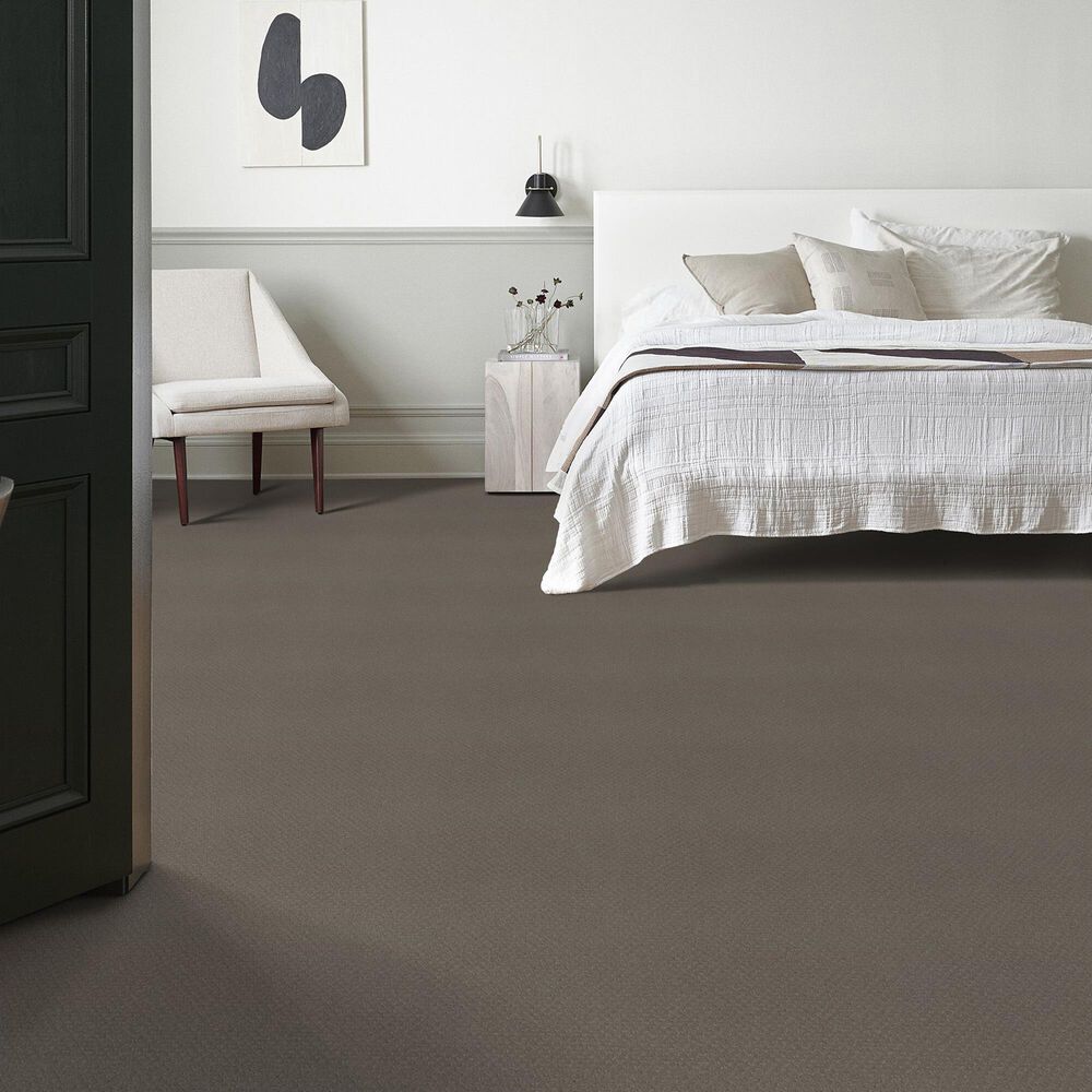 124821-anderson-tuftex-west-fork-carpet-in-still-gray-1.jpg