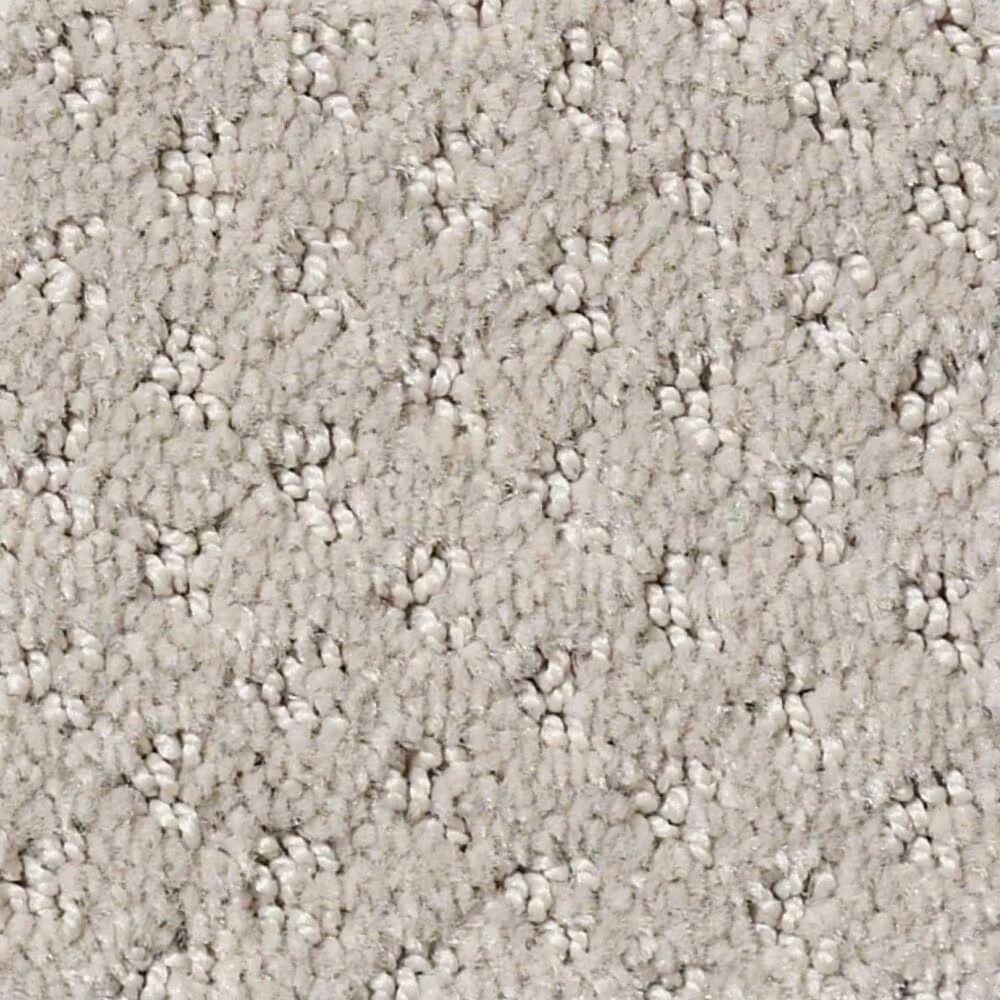 Anderson Tuftex West Fork Carpet in Bit of Gray