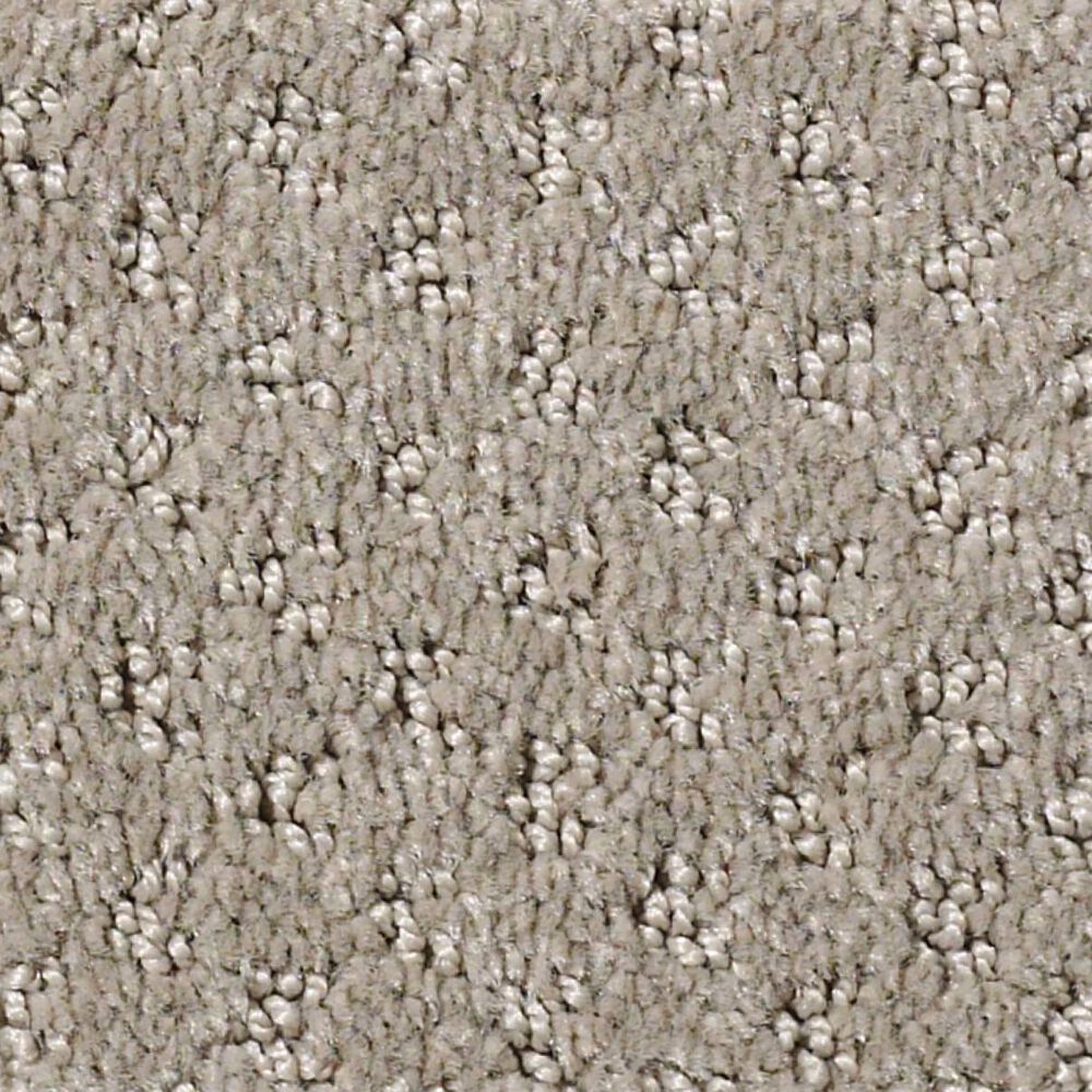 Shaw West Fork Carpet in Koala