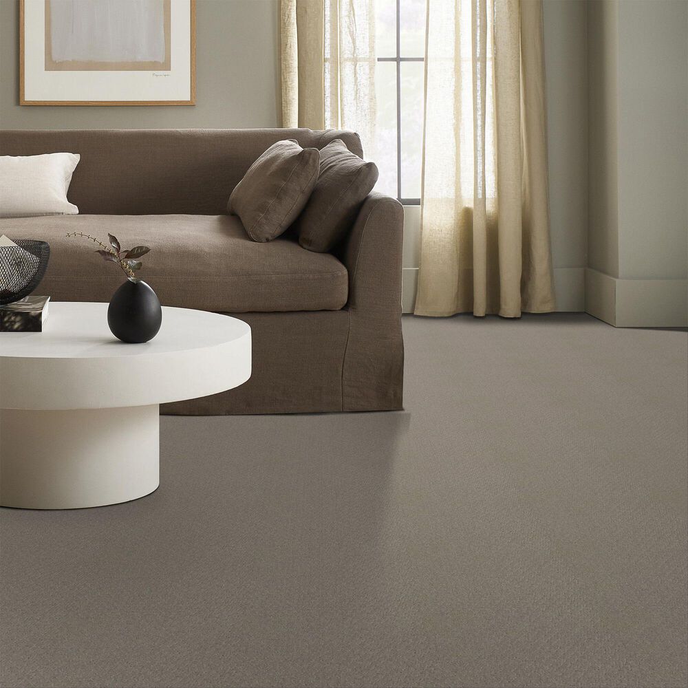 124825-shaw-west-fork-carpet-in-koala-1.jpg