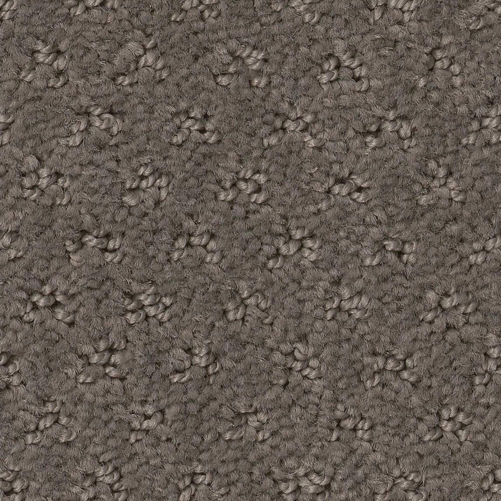 Shaw West Fork Carpet in Potting Soil