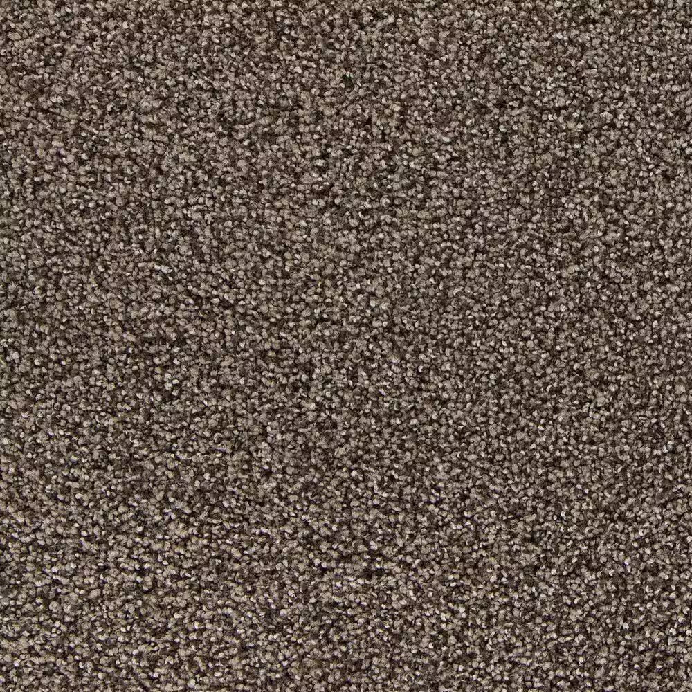 Mohawk Refined Structure Carpet in Ancestral