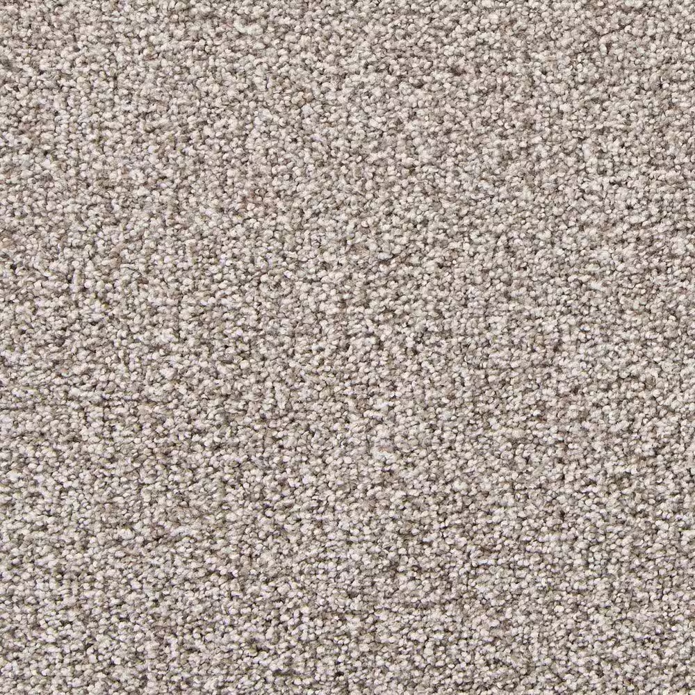 Mohawk Refined Structure Carpet in Universal