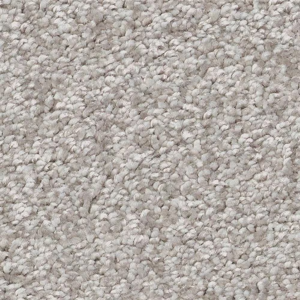 Shaw You Got This III Carpet in Frozen