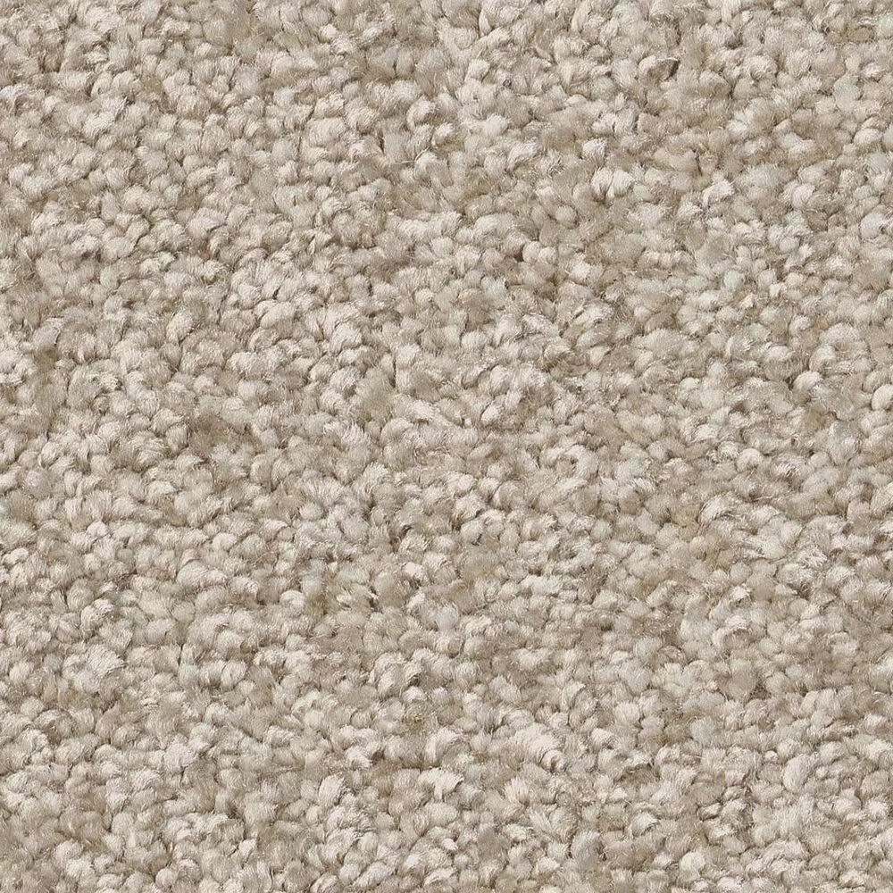 Shaw You Got This III Carpet in Natural