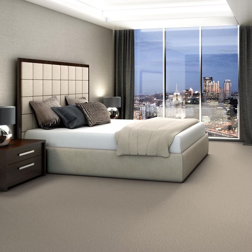 125097-shaw-you-got-this-iii-carpet-in-natural-1.jpg