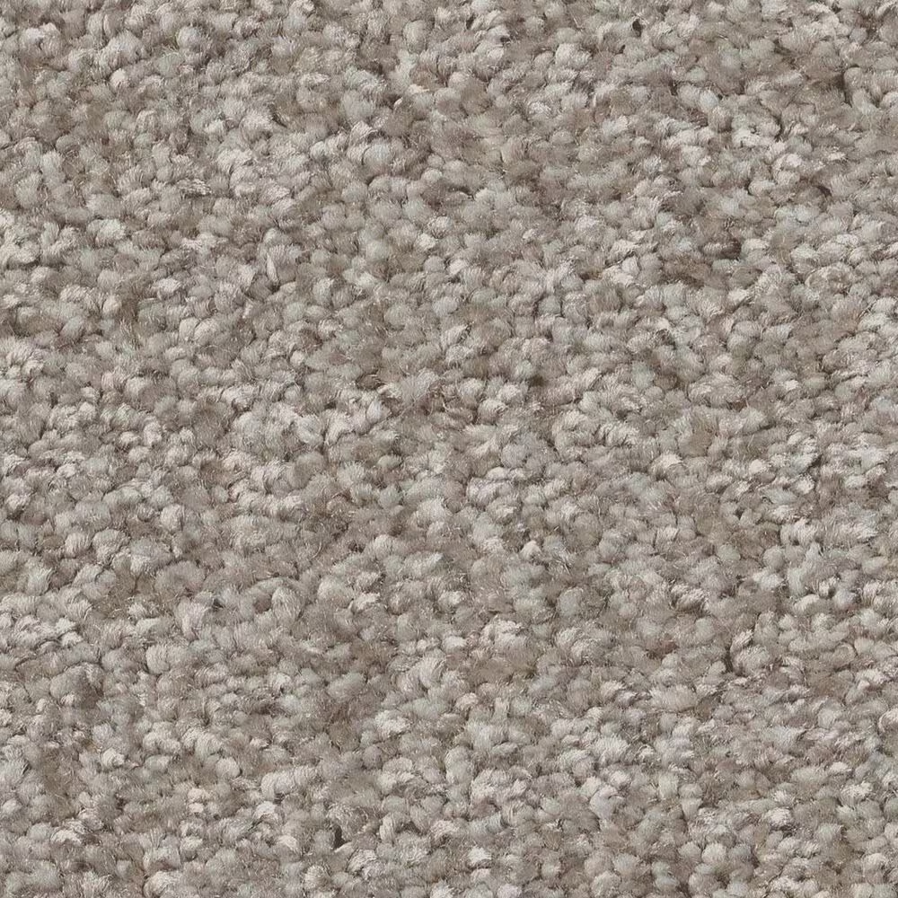 Shaw You Got This III Carpet in Chic Greige