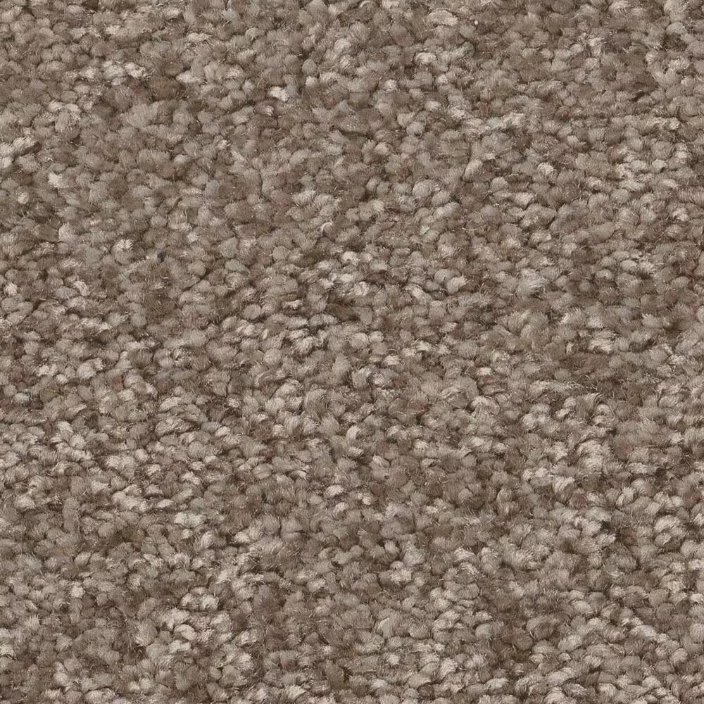 Shaw You Got This III Carpet in Cameo