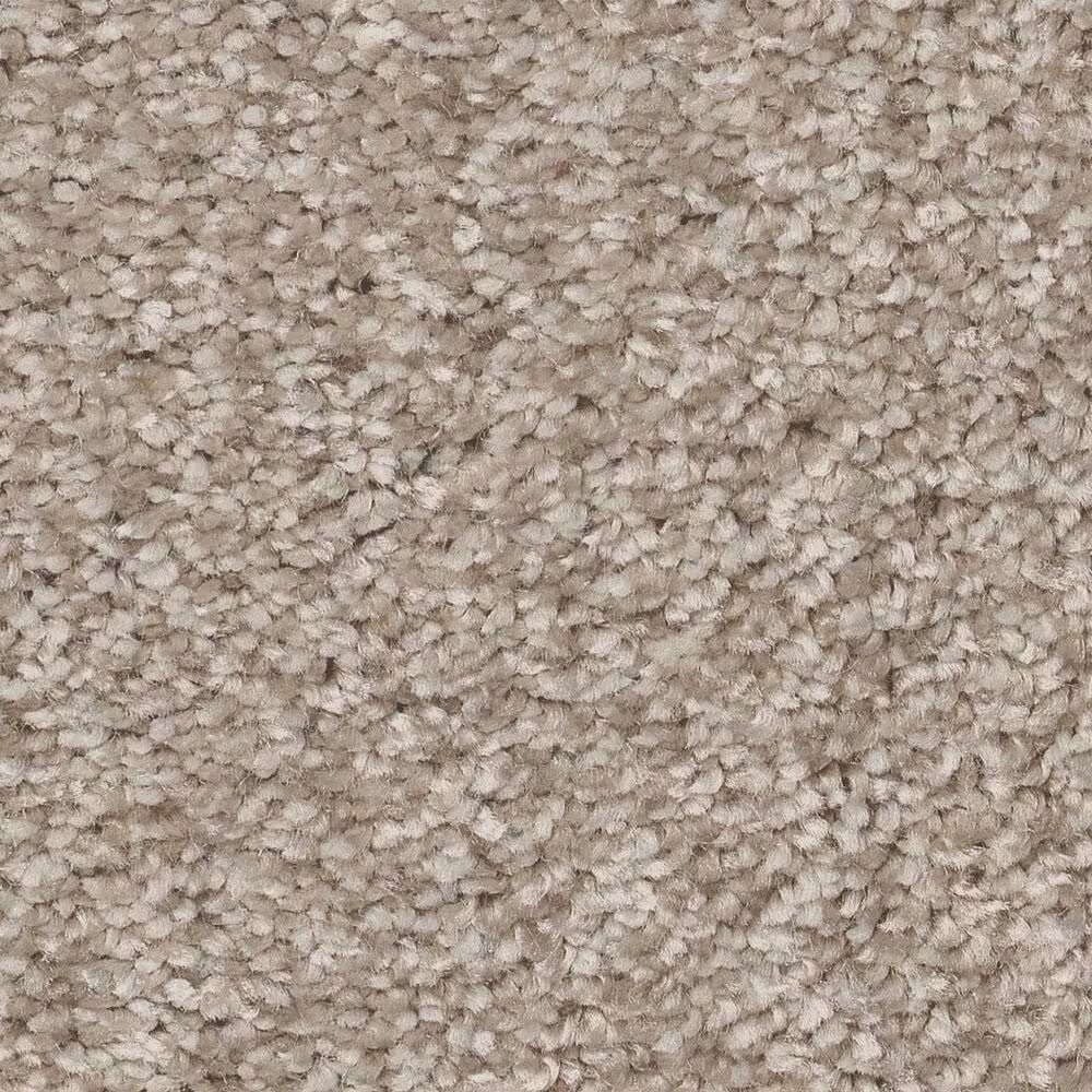 Shaw You Got This III Carpet in Subtle Clay
