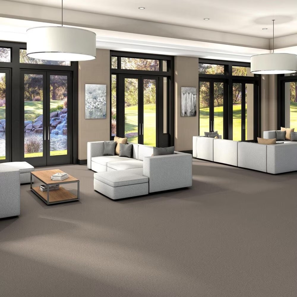 125172-shaw-you-got-this-iii-carpet-in-subtle-clay-1.jpg