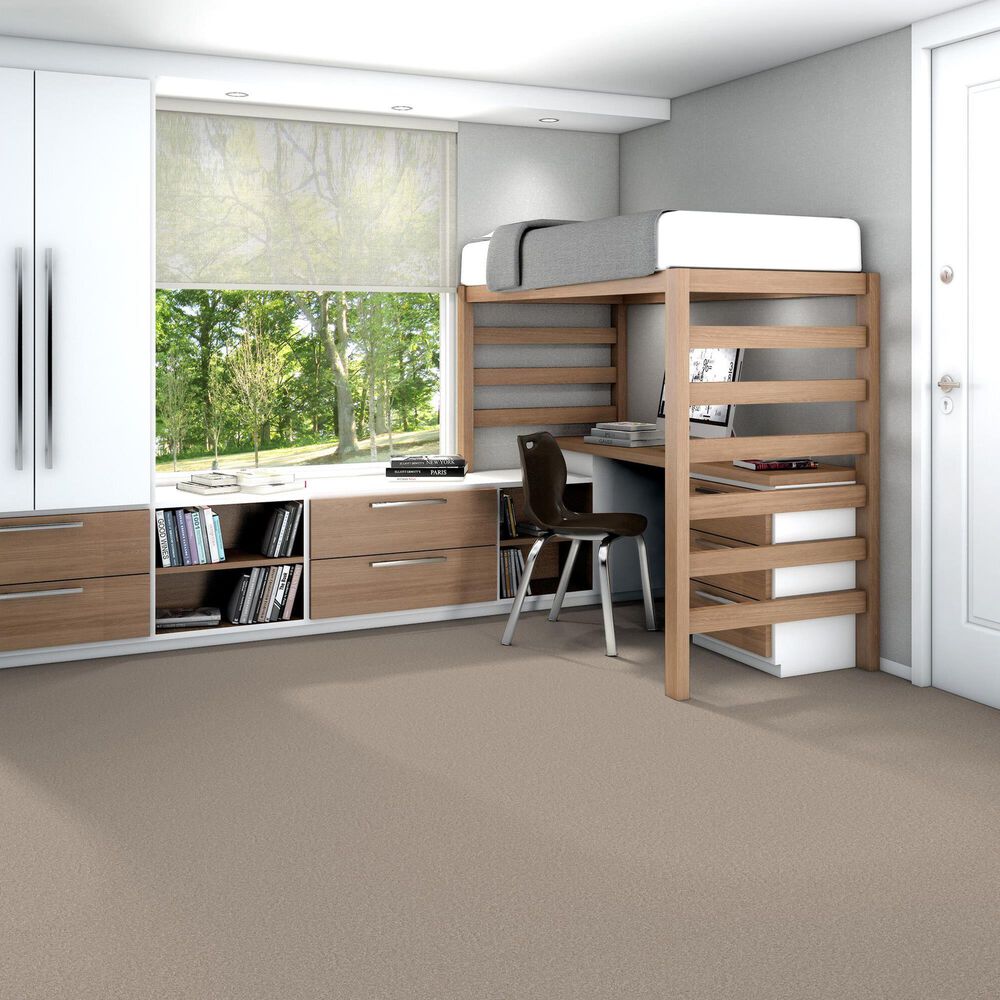 125172-shaw-you-got-this-iii-carpet-in-subtle-clay-1.jpg