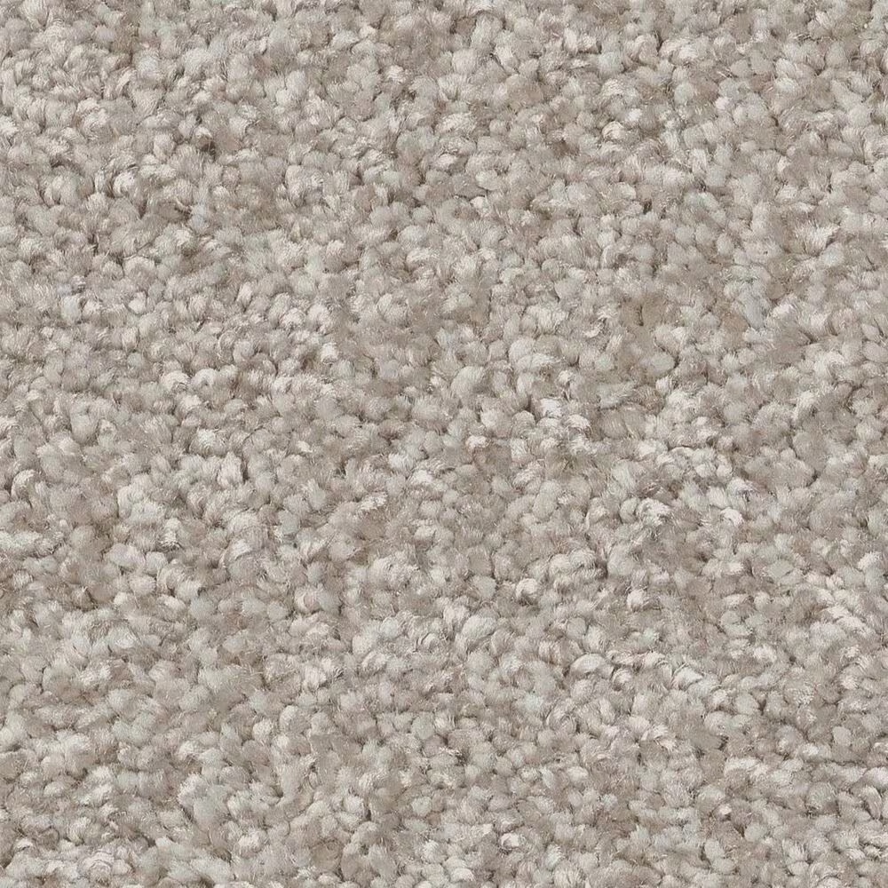 Shaw You Got This III Carpet in Sculpture