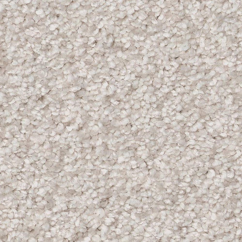 Shaw You Got This III Carpet in Snowfall