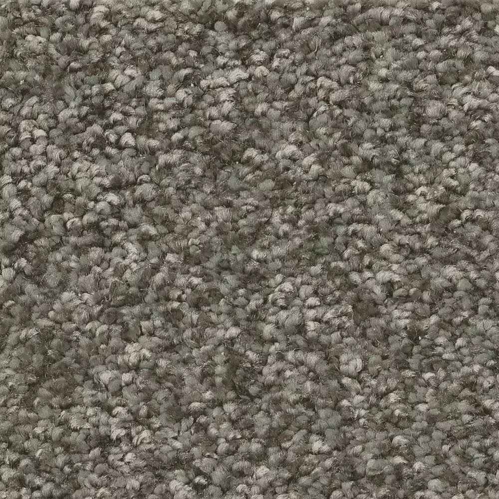 Shaw You Got This III Carpet in Rerooted Nature