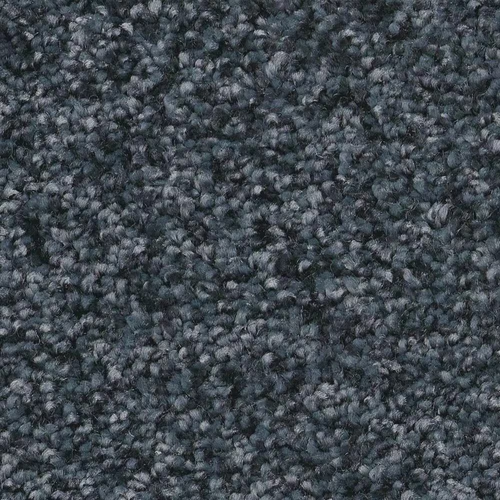 Shaw You Got This III Carpet in Refined