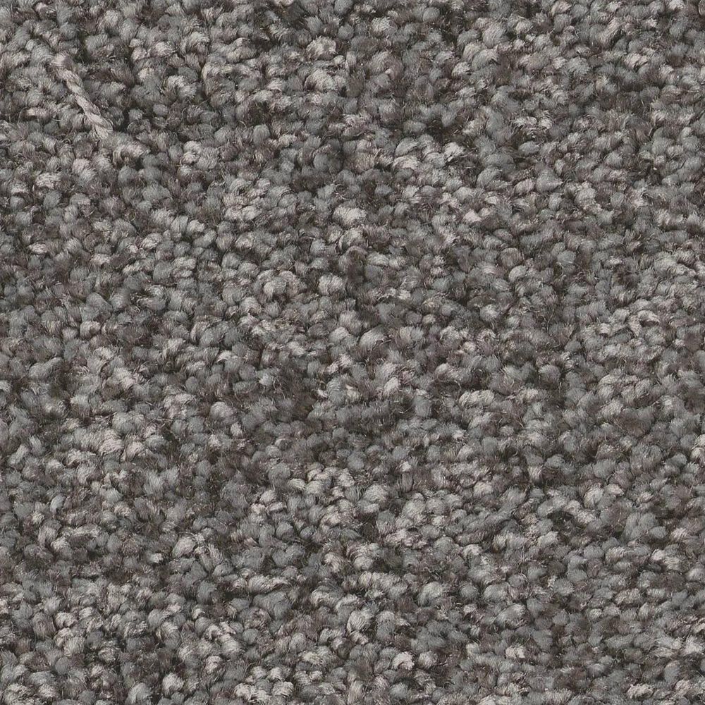 Shaw You Got This III Carpet in Ashes