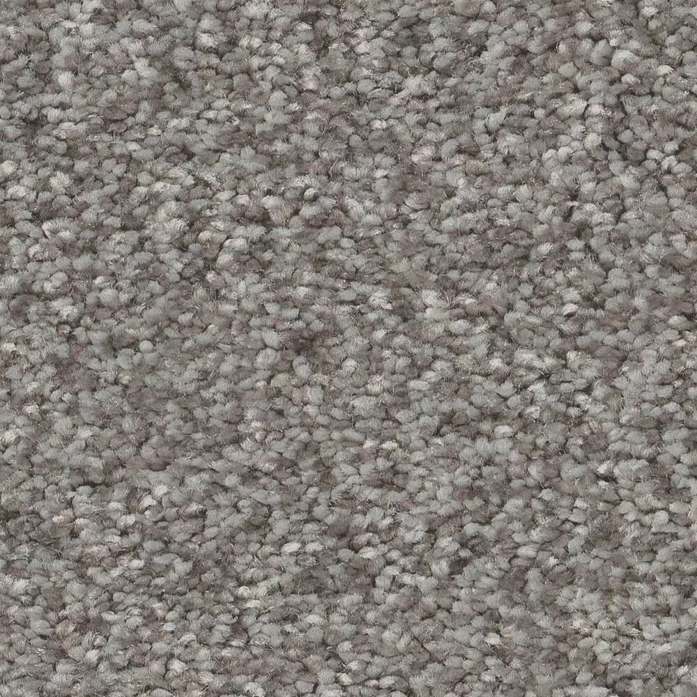 Shaw You Got This III Carpet in Vintage