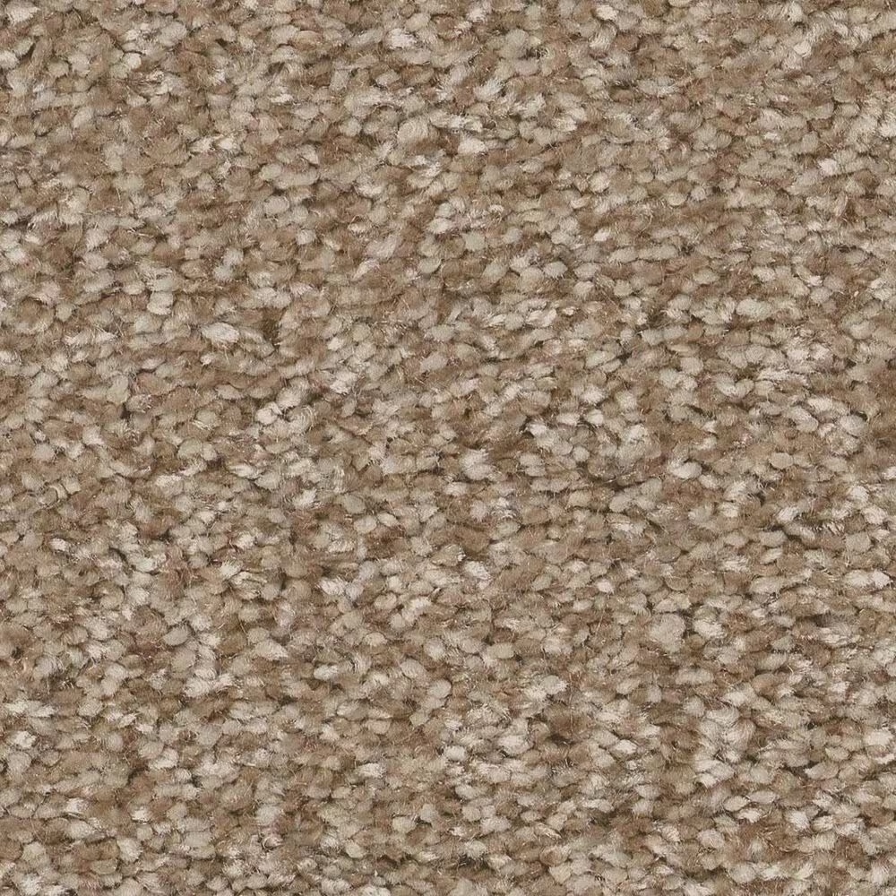 Shaw You Got This III Carpet in Warn Path