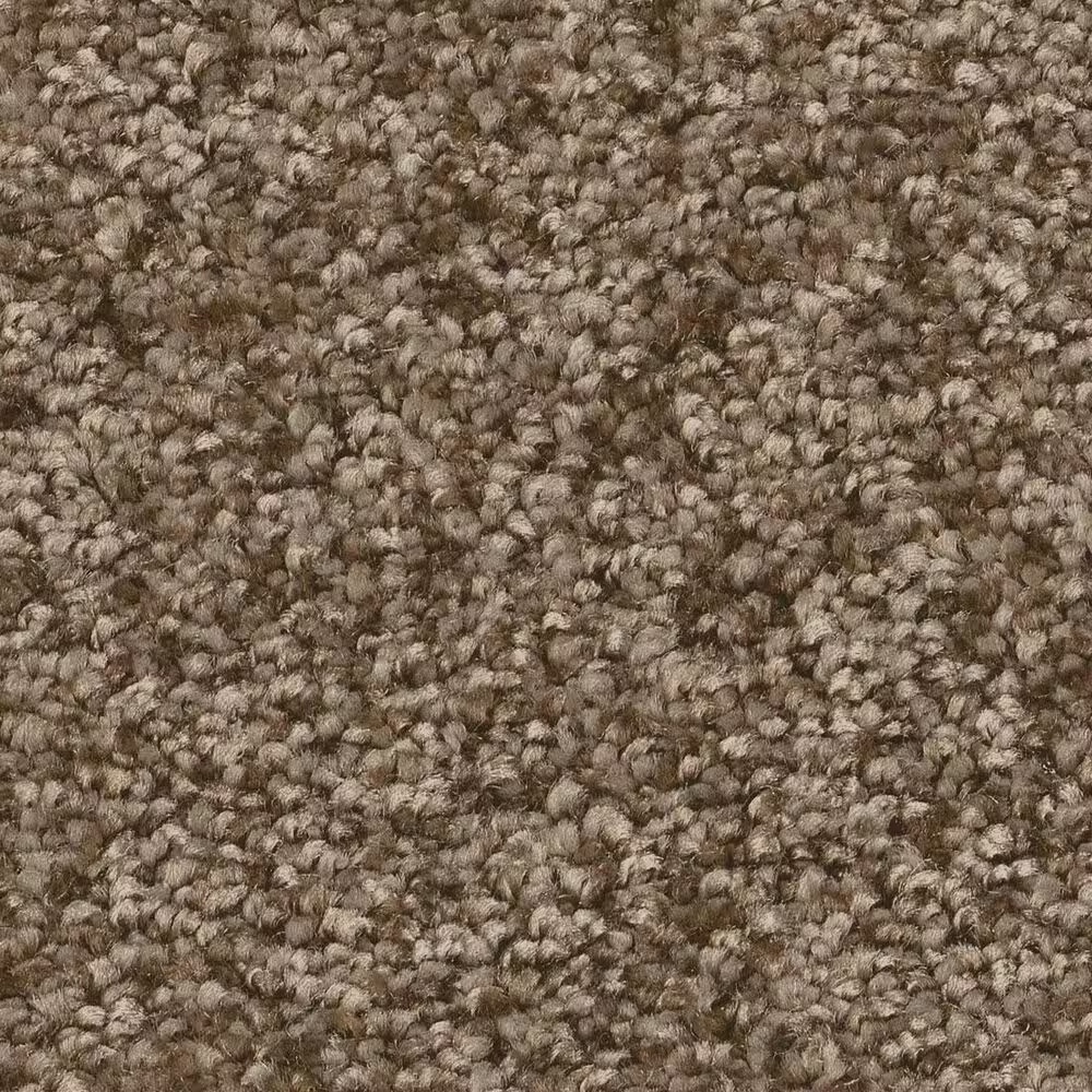 Shaw You Got This III Carpet in Mission Ridge