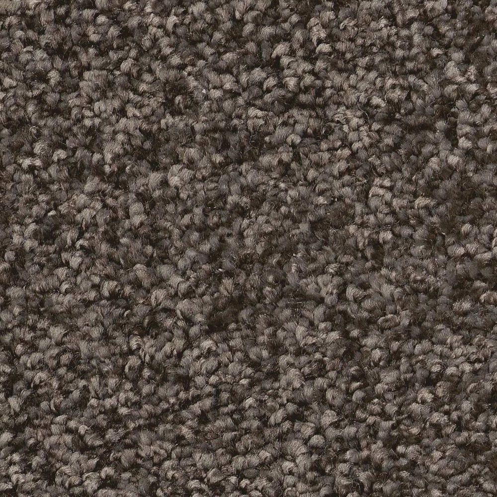 Shaw You Got This III Carpet in Urban Rustic