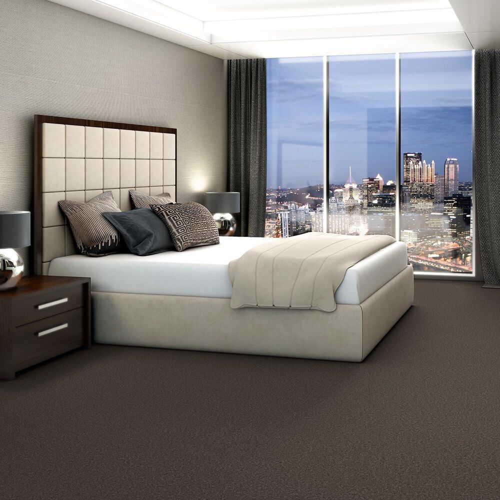 125622-shaw-you-got-this-iii-carpet-in-urban-rustic-1.jpg