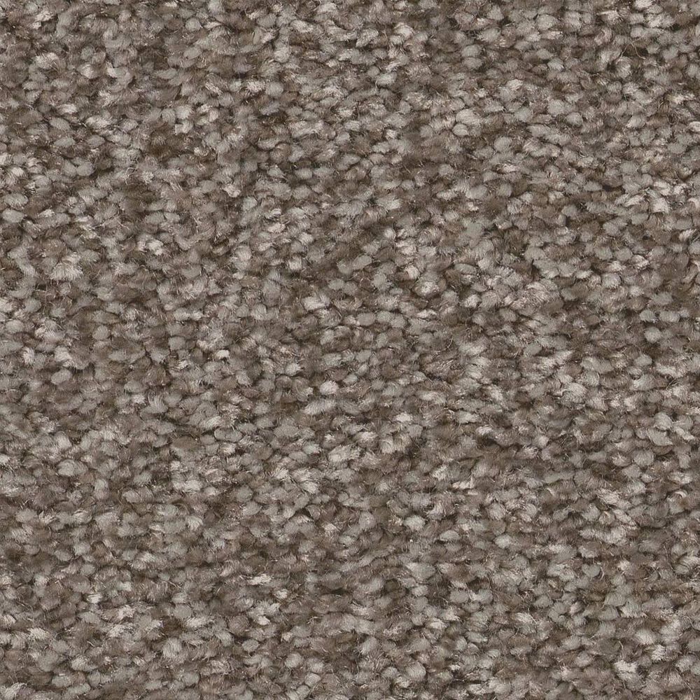 Shaw You Got This III Carpet in Cobblestone