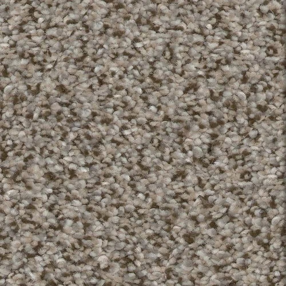 Shaw Trusplendor Carpet in Iron Works