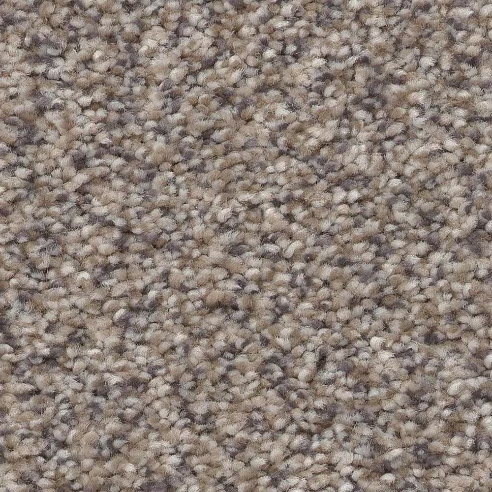 Shaw Trusplendor Carpet in Concrete