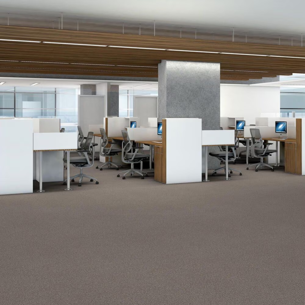 125711-shaw-trusplendor-carpet-in-concrete-1.jpg