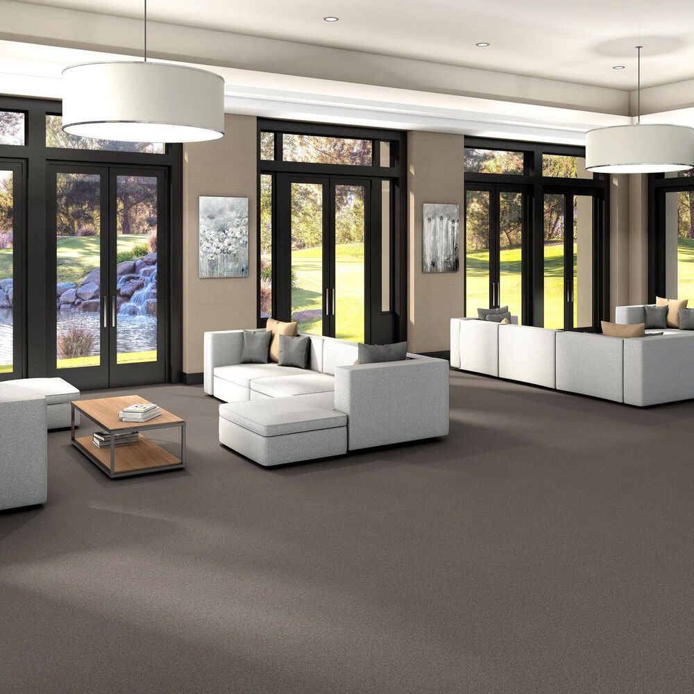 125711-shaw-trusplendor-carpet-in-concrete-1.jpg