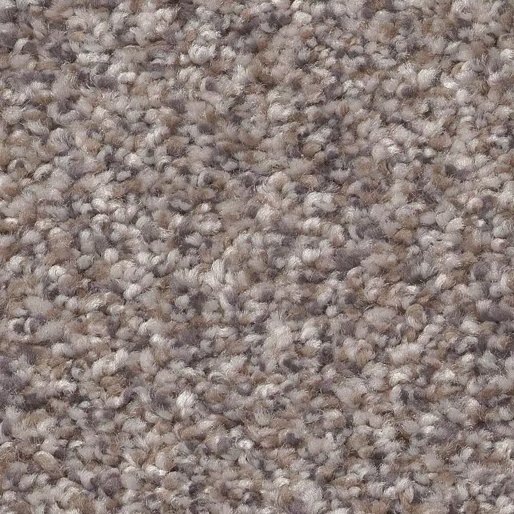 Shaw Trusplendor Carpet in Stainless
