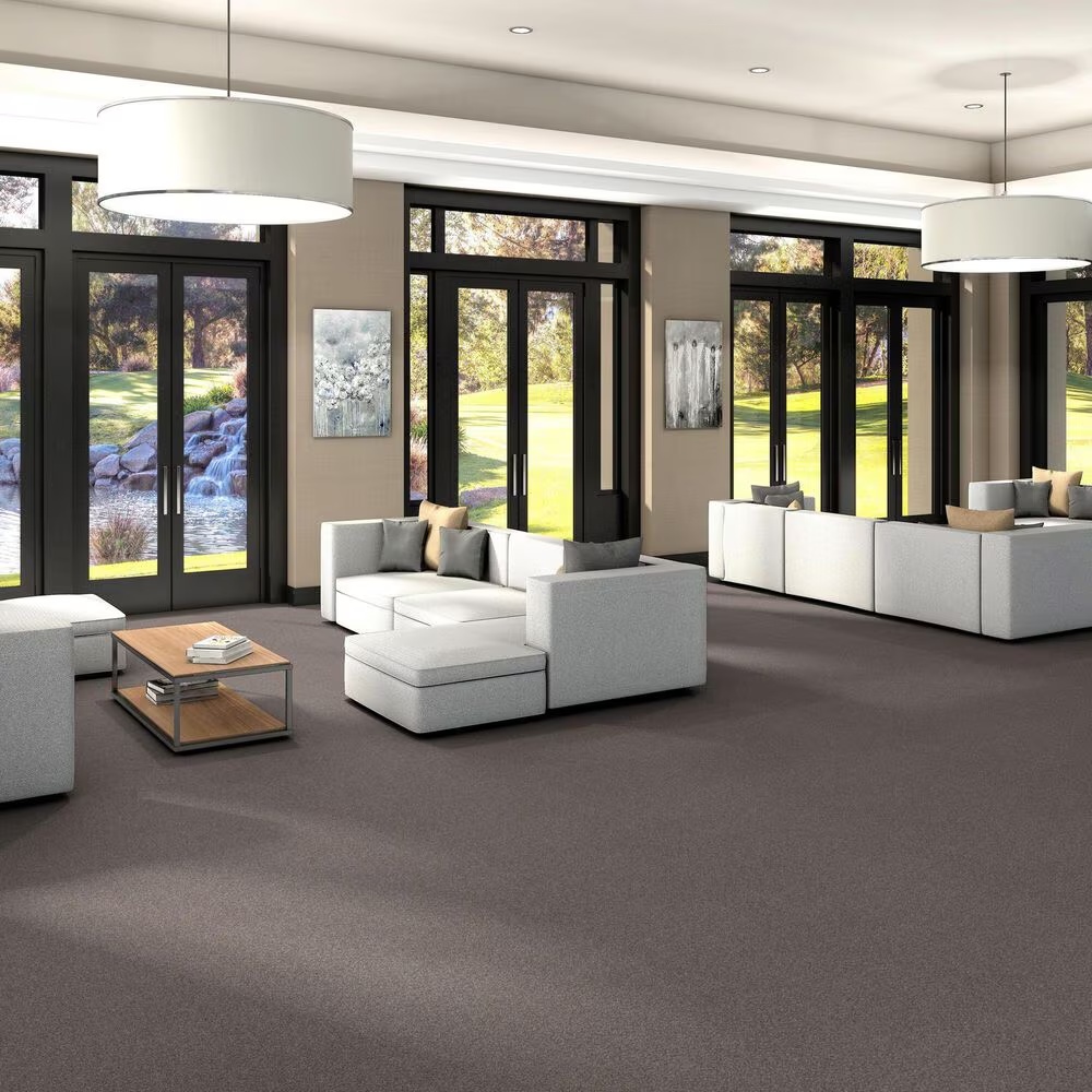 125724-shaw-trusplendor-carpet-in-stainless-1.jpg