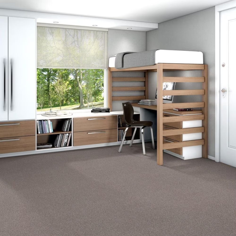 125724-shaw-trusplendor-carpet-in-stainless-1.jpg