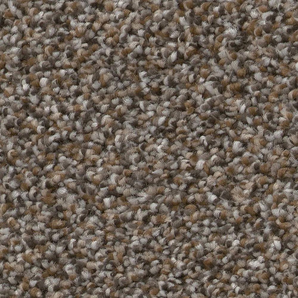 Shaw Trusplendor Carpet in City Scape