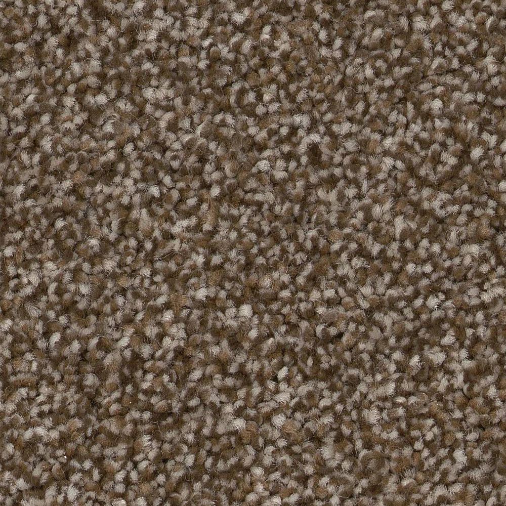 Shaw Trusplendor Carpet in Chestnut