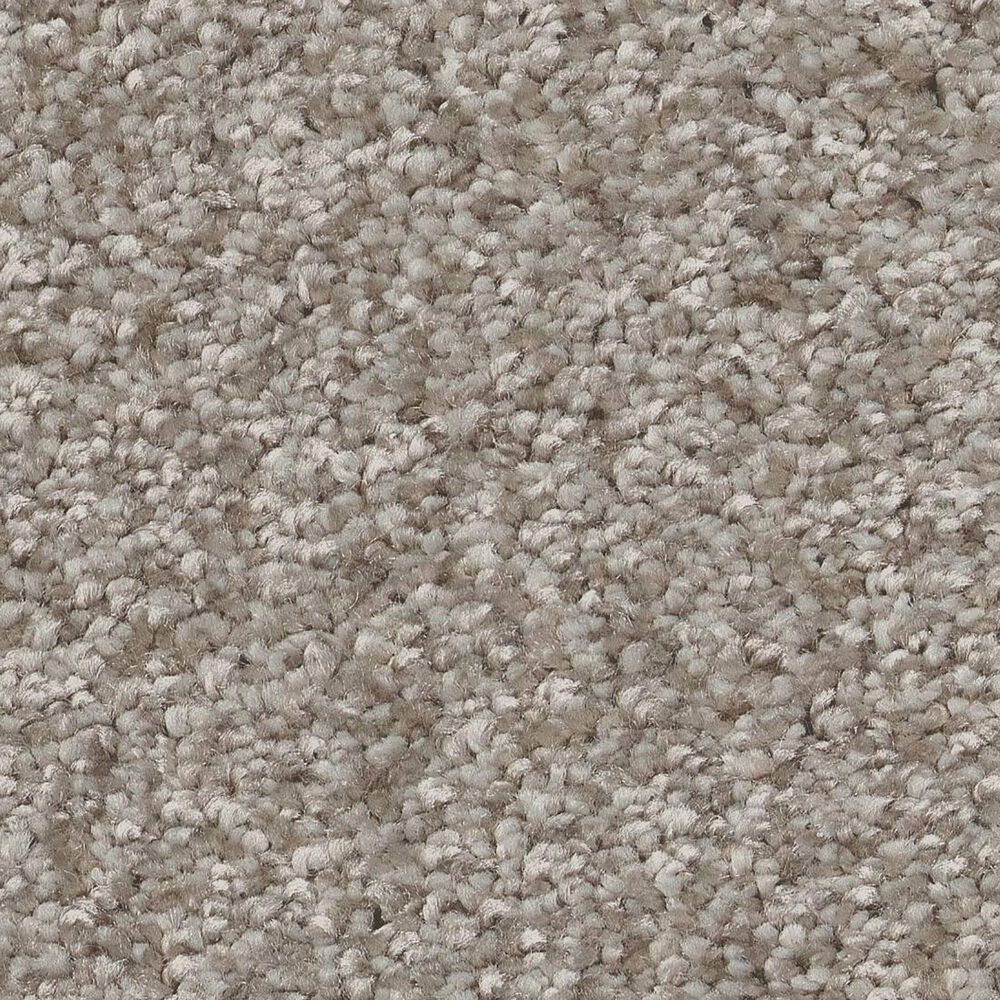 Shaw You Got This II Carpet in Chic Greige