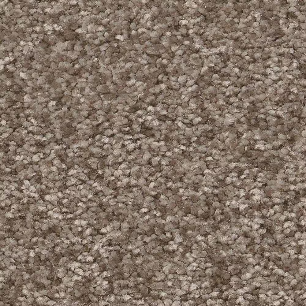 Shaw You Got This II Carpet in Cameo
