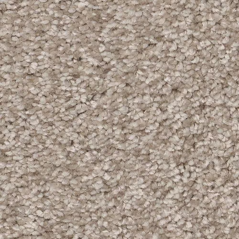 Shaw You Got This II Carpet in Subtle Clay