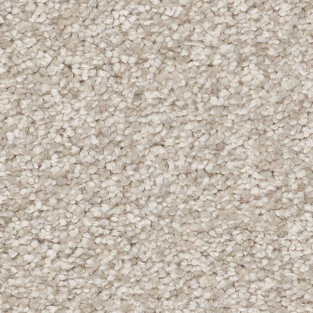 Shaw You Got This II Carpet in Warm Light