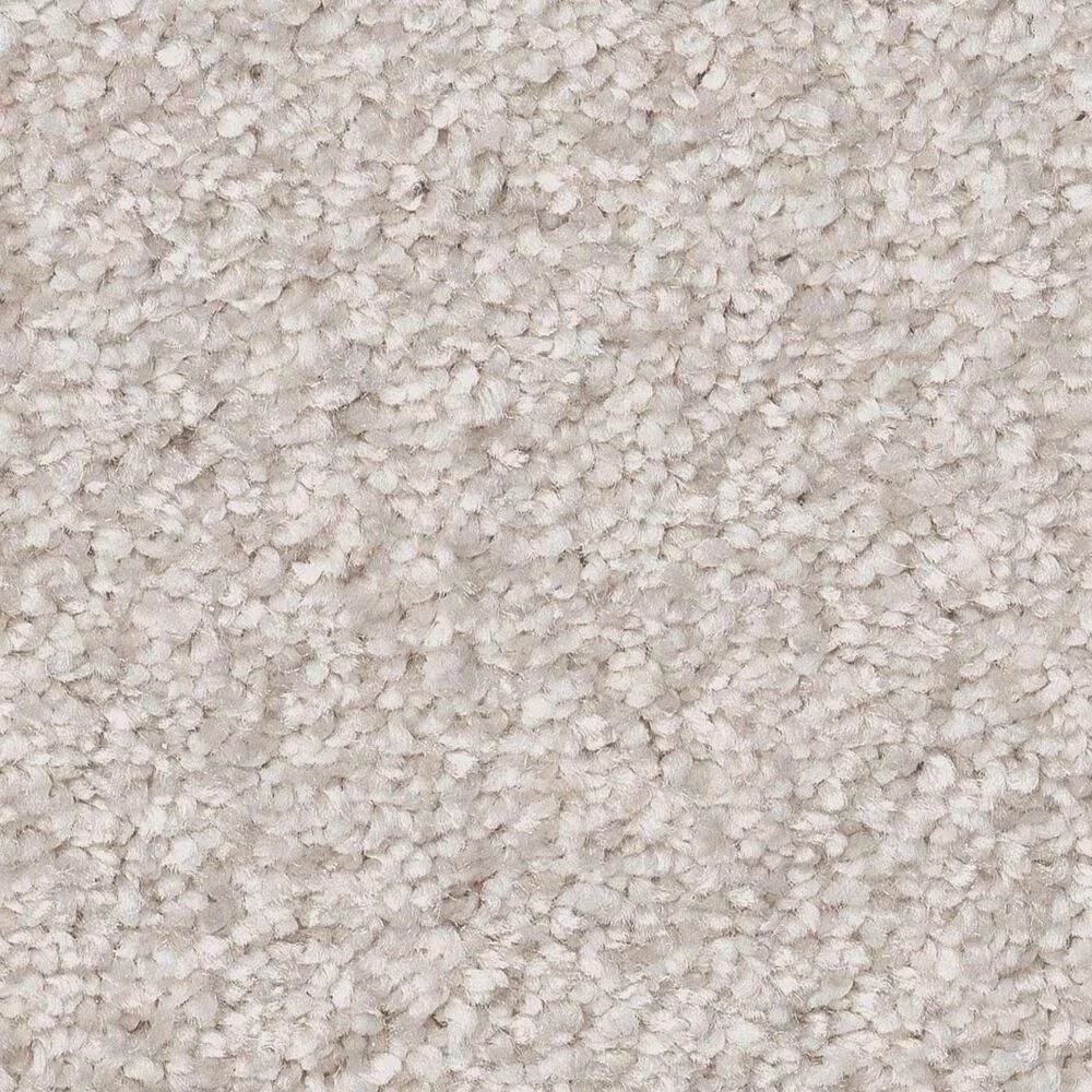 Shaw You Got This II Carpet in Snowfall