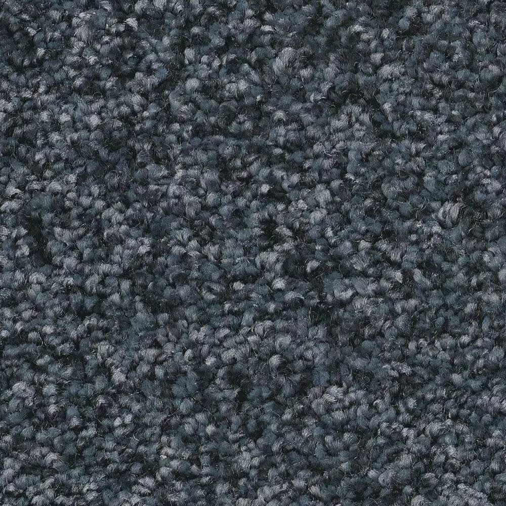 Shaw You Got This II Carpet in Refined