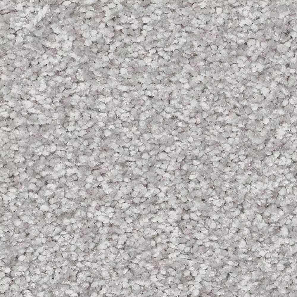 Shaw You Got This II Carpet in Lilac Gray