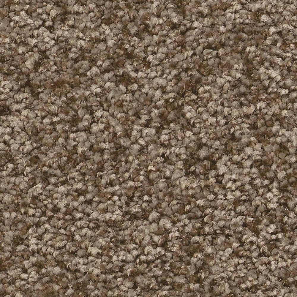 Shaw You Got This II Carpet in Mission Ridge
