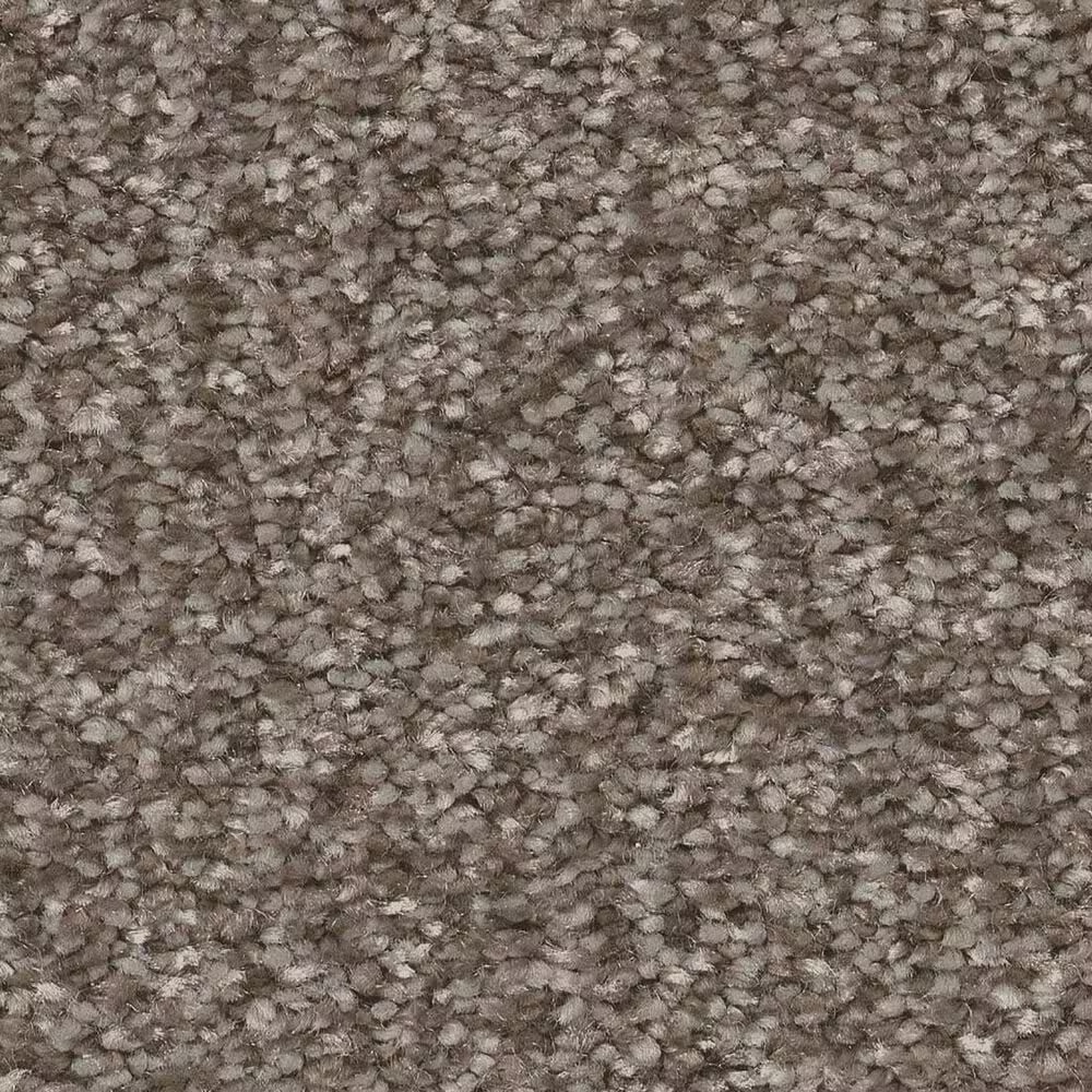Shaw You Got This II Carpet in Cobblestone