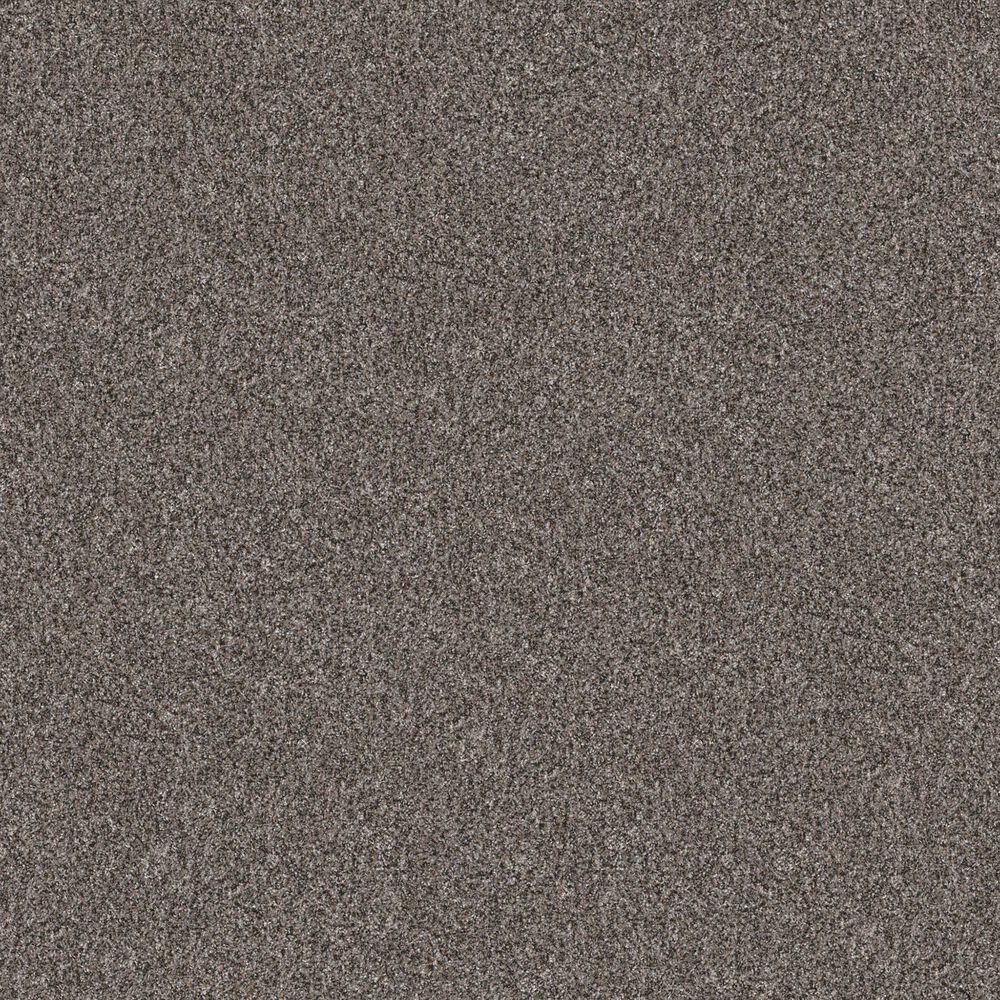Shaw Yes You Can I Carpet in Marble