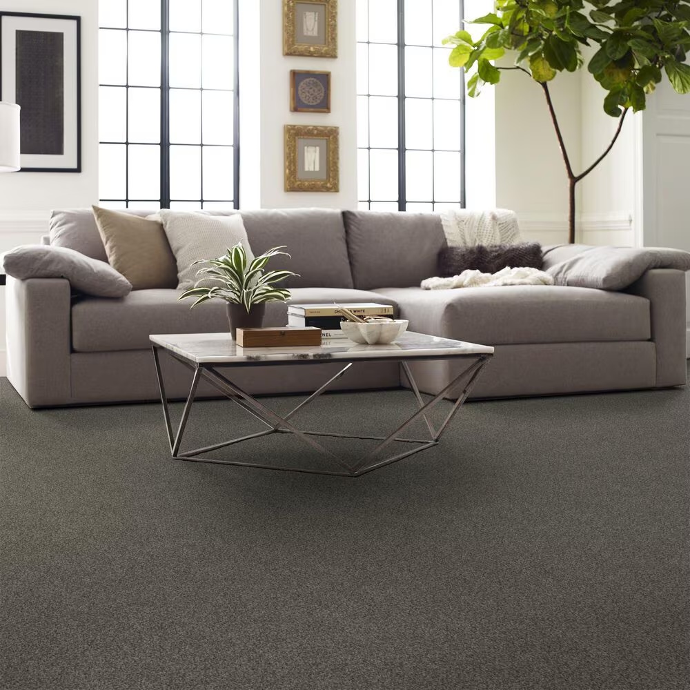 126692-shaw-yes-you-can-i-carpet-in-rerooted-nature-1.jpg